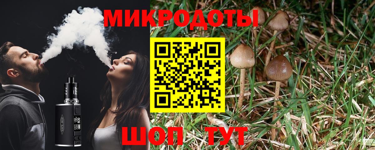 купить наркотики сайты  Галлюциногенные грибы Cubensis  Вход с VPN  Нефтекумск 